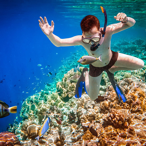 Fenfushi Reef Snorkeling