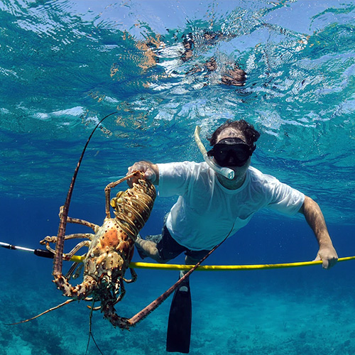 Lobster Hunting