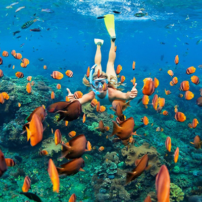 Manta snorkeling